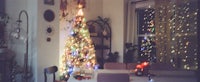 a christmas tree in a living room